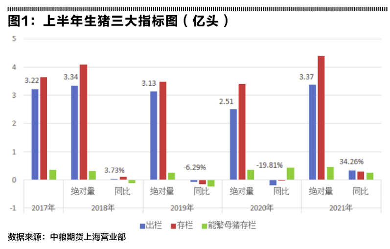 最新出栏率，农业生产效率的关键指标提升策略